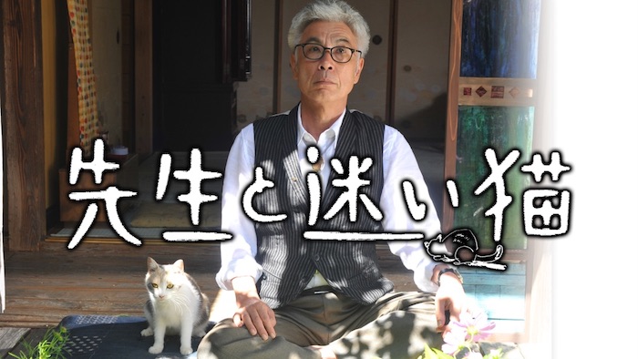 映画『先生と迷い猫』あらすじ・ネタバレ感想！