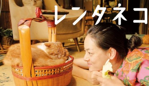 映画『レンタネコ』動画フル無料視聴！人気配信サービスを比較しオススメを紹介