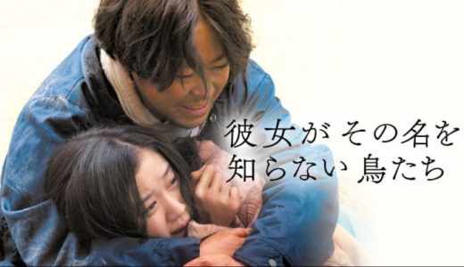 映画『彼女がその名を知らない鳥たち』動画フル無料視聴！人気配信サービスを比較しオススメを紹介