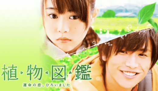 『植物図鑑 運命の恋、ひろいました』動画配信フル無料視聴！名前しか知らない相手との胸キュンなラブストーリーを見る