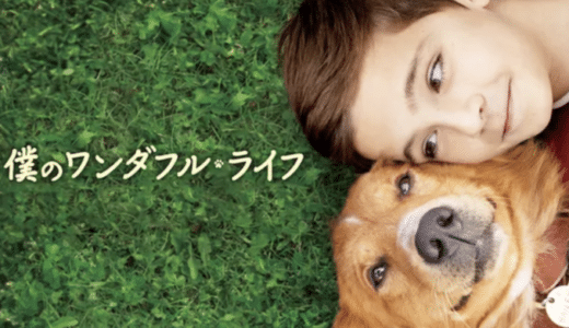 映画『僕のワンダフル・ライフ』動画フル無料視聴！人気配信サービスを比較しオススメを紹介