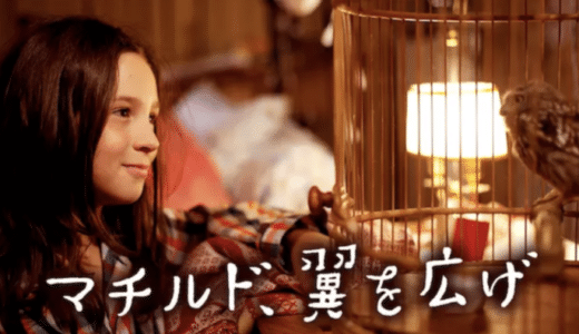 『マチルド、翼を広げ』動画配信フル無料視聴！母娘の絆を色彩豊かに描いたヒューマンドラマを見る