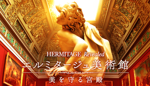 『エルミタージュ美術館 美を守る宮殿』動画配信フル無料視聴！エルミタージュ美術館を堪能できる映像を見る