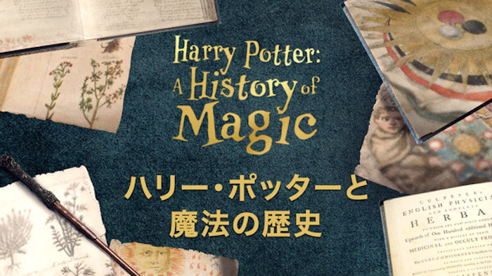 ハリー・ポッターと魔法の歴史