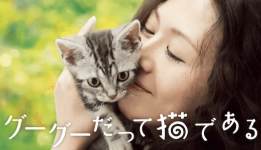 『グーグーだって猫である』動画配信フル無料視聴！小泉今日子主演！猫と人間が送る感動ドラマを見る