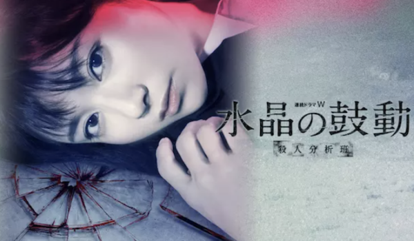 ドラマ『石の繭 殺人分析班』原作小説も読みたい方へ