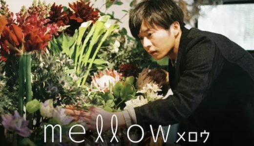 映画『mellow』動画フル無料視聴！人気配信サービスを比較しオススメを紹介
