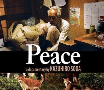 映画『Peace　ピース』ネタバレあらすじ・感想！人間が見習うべき猫社会とは？