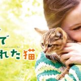 【ネタバレあり】映画『ルー、パリで生まれた猫』あらすじ感想｜ネコ飼いの間では賛否両論！？このラストをどう受け止める？