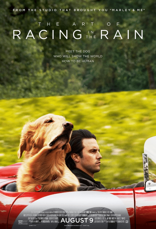 エンツォ レーサーになりたかった犬とある家族の物語